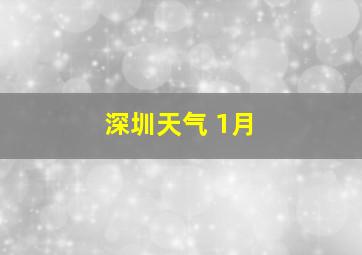 深圳天气 1月